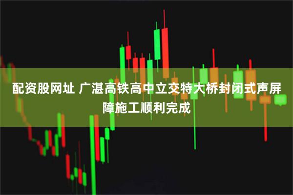 配资股网址 广湛高铁高中立交特大桥封闭式声屏障施工顺利完成