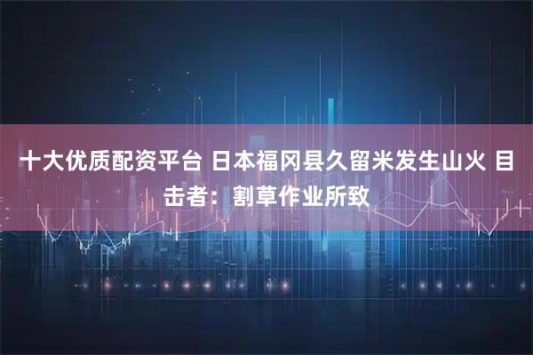十大优质配资平台 日本福冈县久留米发生山火 目击者：割草作业所致